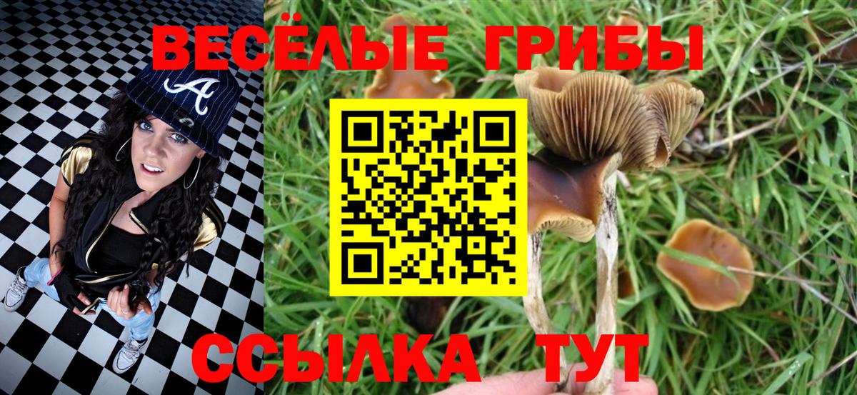 Галлюциногенные грибы GOLDEN TEACHER  Вход с VPN  Когалым  Галлюциногенные грибы MAGIC MUSHROOMS 
